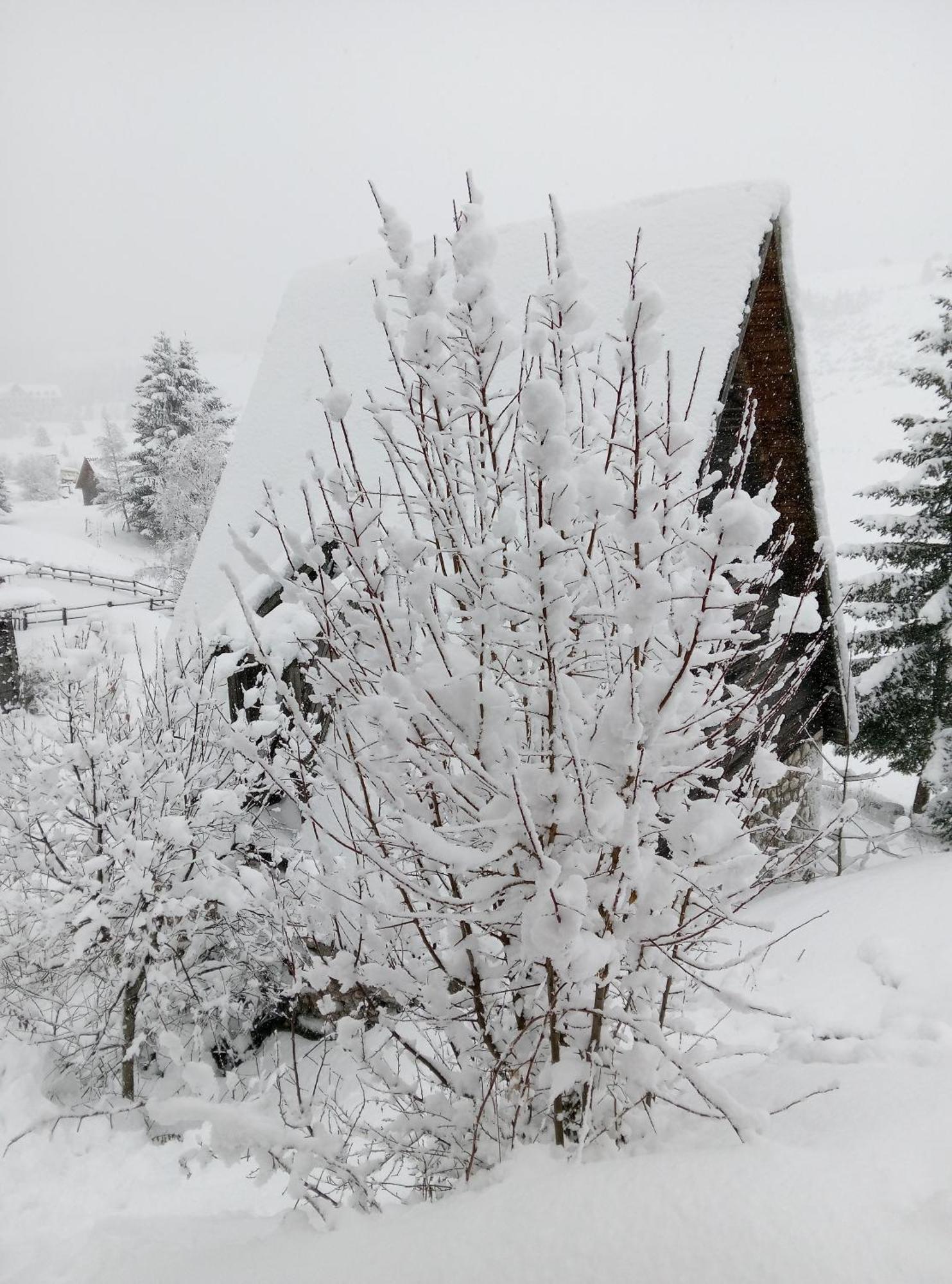 Durmitor Жабляк