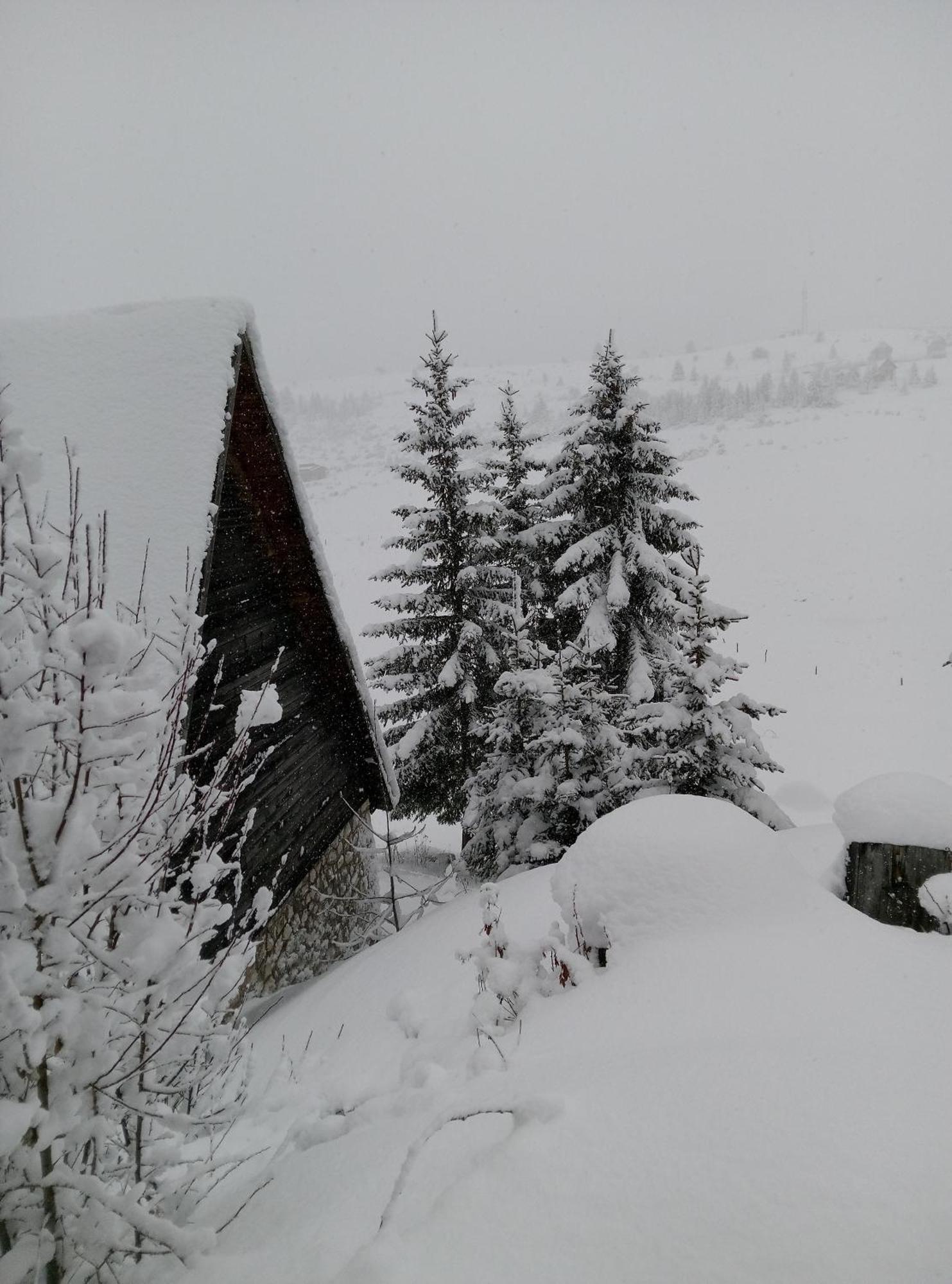 Durmitor Апартаменти *