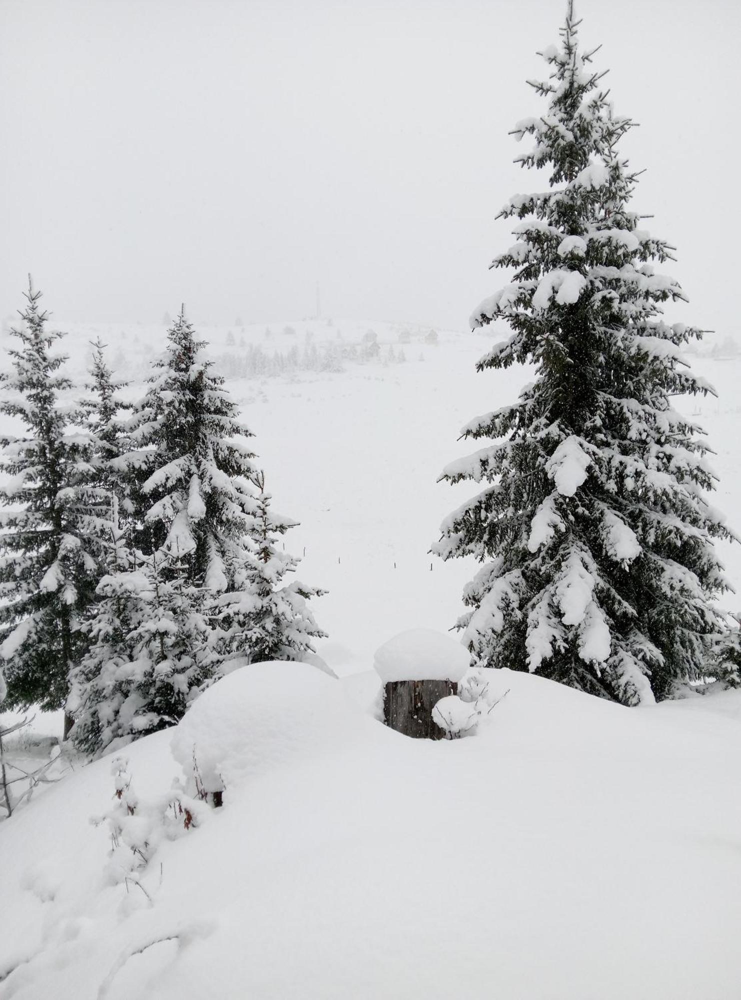 Durmitor *