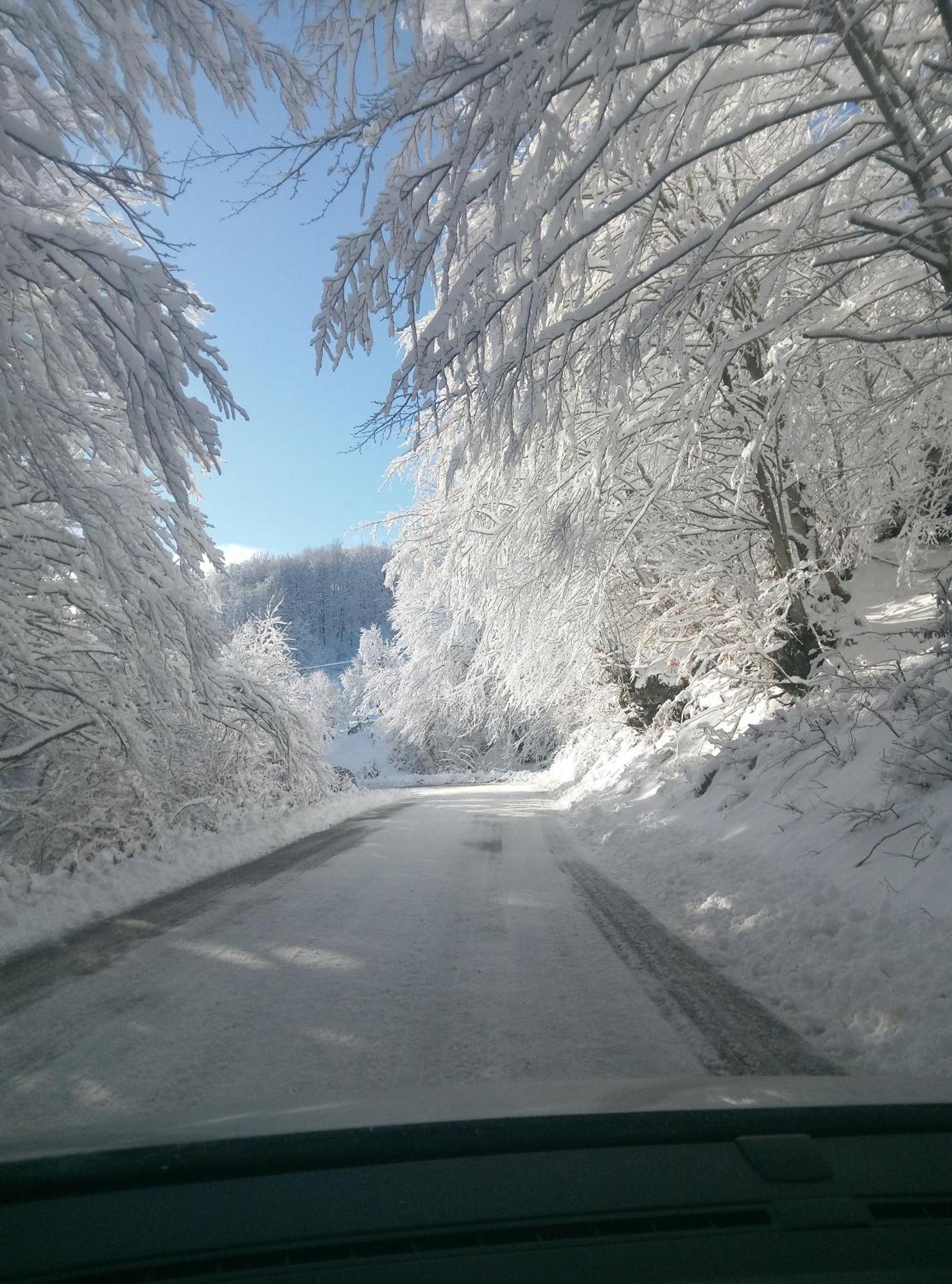 Durmitor Апартаменти Жабляк